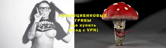 герыч Алзамай