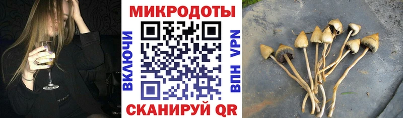Псилоцибиновые грибы мицелий  Юрьев-Польский 